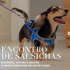 [23/08] Encontro de Salsichas