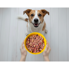 Frango com Grão de Bico - Adulto (1 porção) - 350g