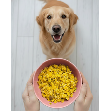 Risoto de Peixe - Adulto (1 porção) - 200g