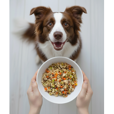 Frango a Jardineira - Adulto (1 porção) - 350g