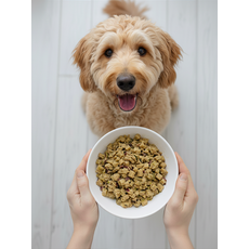 Lombo com Abacaxi e Hortelã - Adulto (1 porção) - 200g