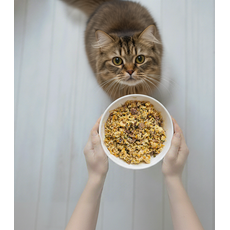 Frango - Gatos (1 porção) - 200g