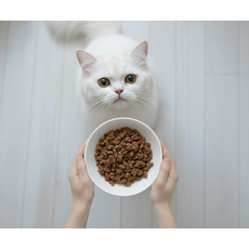 Carne - Gatos (1 porção) - 200g