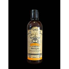 SHAMPOO ORGANIC GELEIA REAL 380ML