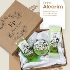 Kit de Alecrim Presente