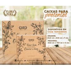 CAIXA DE PRESENTE GRANDE (VIVER BEM)