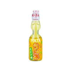 REFRESCO GASEIFICADO ABACAXI HATA