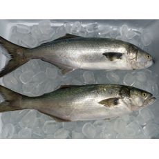 Anchovinha Limpa (500g)
