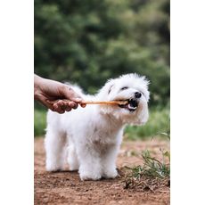 Pocky Tendão Bovino Natuka