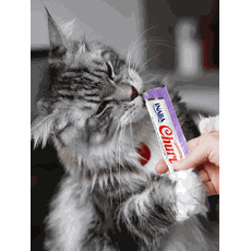 Churu para Gatos Frango com aroma de Camarão