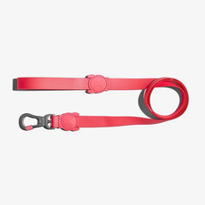 GUIA NEOPRO BUBBLEGUM P