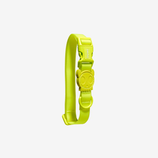 COLEIRA P/ CAES NEOPRO VERDE G