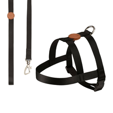 PEITORAL TRADICIONAL E GUIA PET CHOICE PRETO G