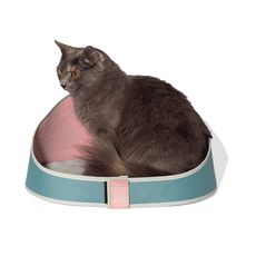 CAMA ZEE CAT PARA GATOS KOMBUCHA