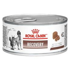 CANINE/FELINE RECOVERY WET 195G - UN