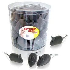BRINQ PET RATINHO REAL C/APITO AMERICAN PET S(E)
