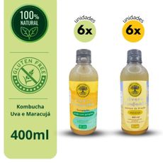 Kit  Viver de Kombucha Maracujá e Limão com Gengibre