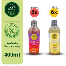 Kit Viver de Kombucha Morango com hibisco e Maracujá