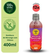 Kit Viver de Kombucha degustação 4 unidades