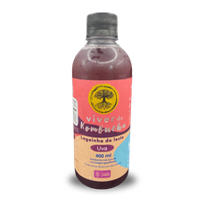 Viver de Kombucha Sabor Uva 400 ml 