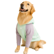 Moletom Barilo Woofbox Verde E Lilás Para Cães