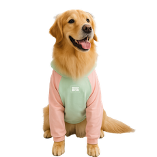 Moletom Barilo Woofbox Verde E Rosa Para Cães