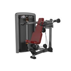 DESENVOLVIMENTO DE OMBRO ZAION FITNESS