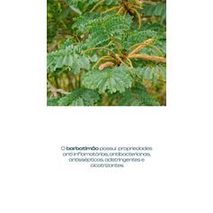 SABONETE LIQUIDO INTIMO MELALEUCA E BARBATIMAO 200ML FLORA PURA