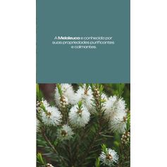 SABONETE LIQUIDO INTIMO MELALEUCA E BARBATIMAO 200ML FLORA PURA