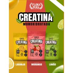 CREATINA MONOHIDRATADA SABOR LIMAO 210G FP