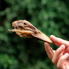 Cabeça de Pato Desidratada | 6 unidades