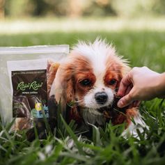 Mix Suíno Desidratado | Traqueia, Garganta e Língua