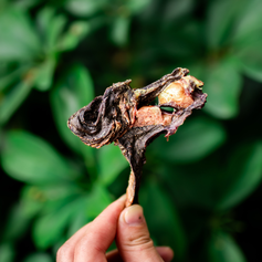 Coração Bovino Desidratado | 150g