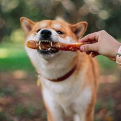 Mix Suíno Desidratado | Traqueia, Garganta e Língua