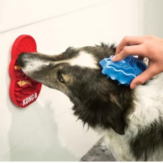 Tapete de Alimentação Interativa - Kong