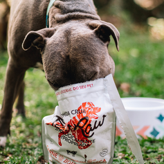 Hamburguinho Bovino | 4kg