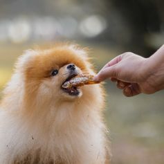 Manjubinha Desidratada | 150g