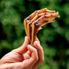 Pé de Pato Desidratado | 6 unidades