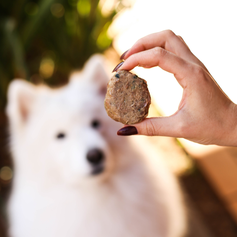 Hamburguinho de Pato | 1kg