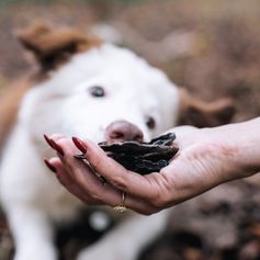 Fígado Suíno Desidratado | 150g