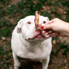 Pé de Pato Desidratado | 6 unidades