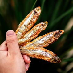 Manjubinha Desidratada | 150g