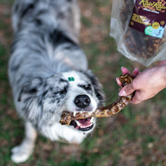 Pescoço de Pato Desidratado | 6 unidades