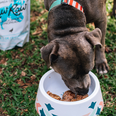 Hamburguinho de Frango | 1kg