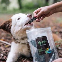 Fígado Suíno Desidratado | 150g