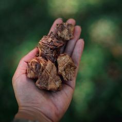 Pulmão Suíno Desidratado | 70g