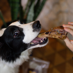 Cabeça de Pato Desidratada | 3 unidades