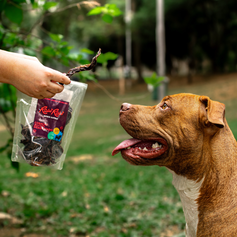 Coração Bovino Desidratado | 150g