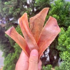 Orelha Suína Desidratada em Tiras | 70g