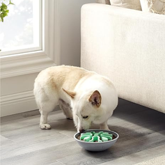 Comedouro Lento Interativo - Wobble